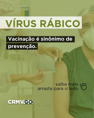 Vacinação anti-rábica é sinônimo de prevenção